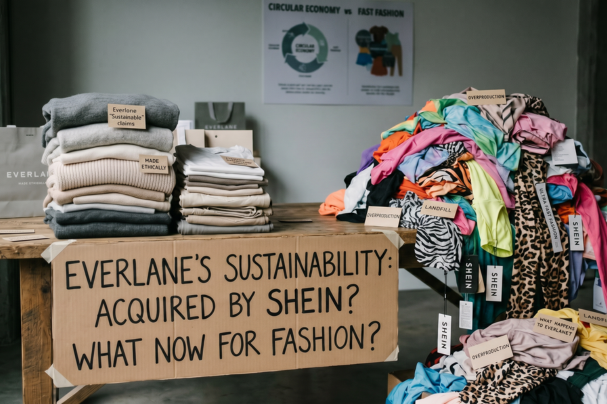 Shein just bought Everlane. Here's what that tells us about the fashion industry.