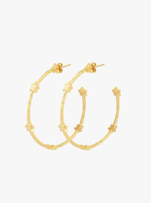 Stardust Earrings Gold Plated - Pair